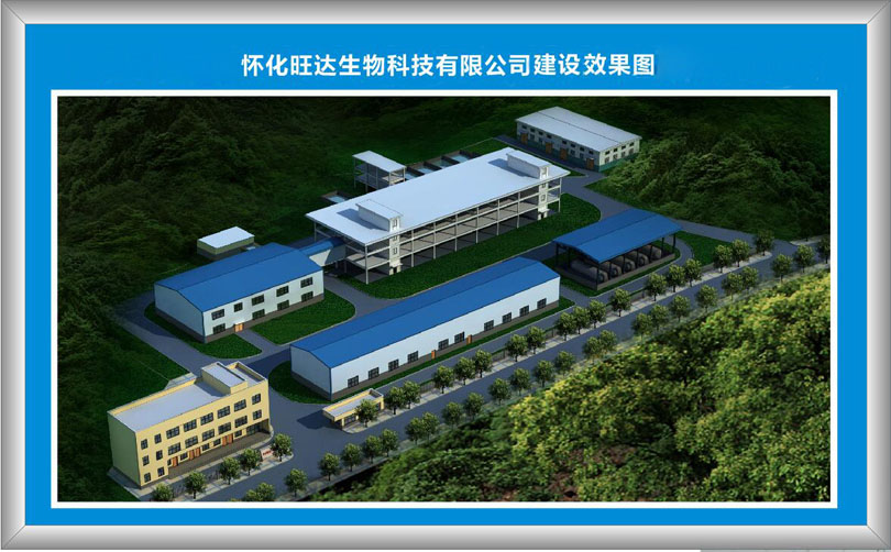 开云·kaiyun「中国内陆」体育官方网站